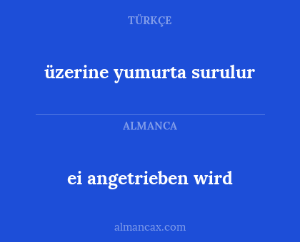 ei angetrieben wird - üzerine yumurta surulur