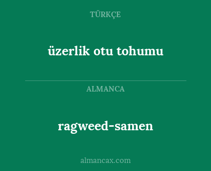 ragweed-samen - üzerlik otu tohumu