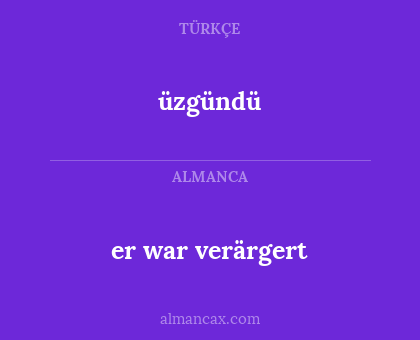 er war verärgert - üzgündü