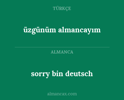 sorry bin deutsch - üzgünüm almancayım