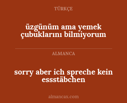 sorry aber ich spreche kein essstäbchen - üzgünüm ama yemek çubuklarını bilmiyorum