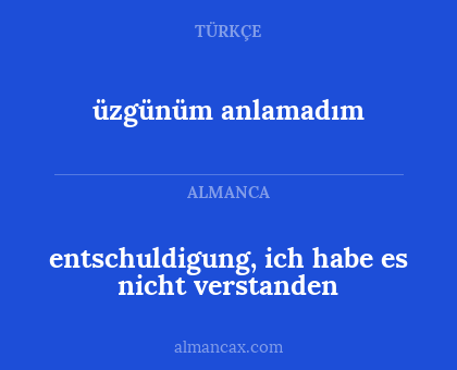 entschuldigung, ich habe es nicht verstanden - üzgünüm anlamadım