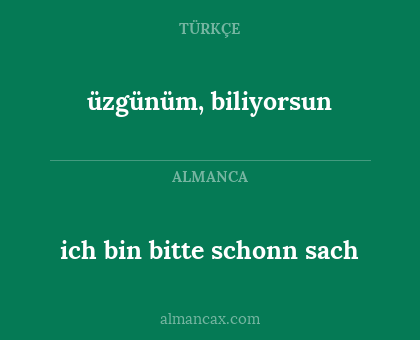 ich bin bitte schonn sach - üzgünüm, biliyorsun