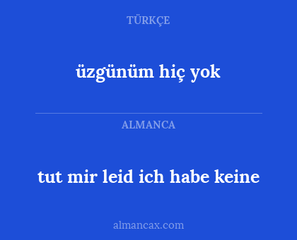 üzgünüm hiç yok - tut mir leid ich habe keine