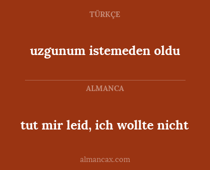 tut mir leid, ich wollte nicht - uzgunum istemeden oldu