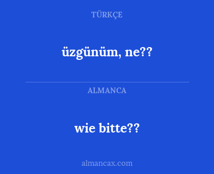 wie bitte?? - üzgünüm, ne??