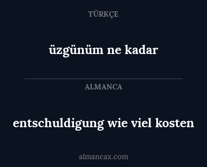 üzgünüm ne kadar - entschuldigung wie viel kosten