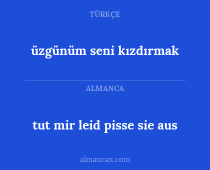 tut mir leid
pisse sie aus - üzgünüm
seni kızdırmak