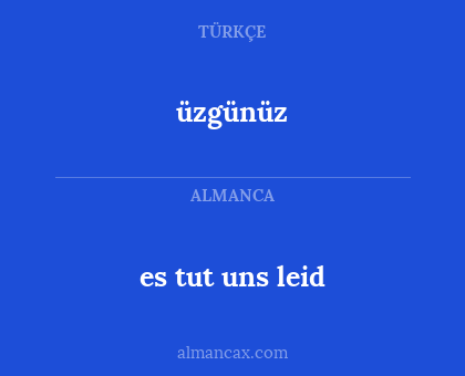 es tut uns leid - üzgünüz