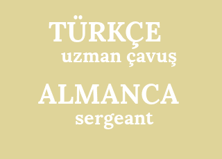 uzman+%C3%A7avu%C5%9F-sergeant.png