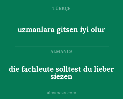 uzmanlara gitsen iyi olur - die fachleute solltest du lieber siezen