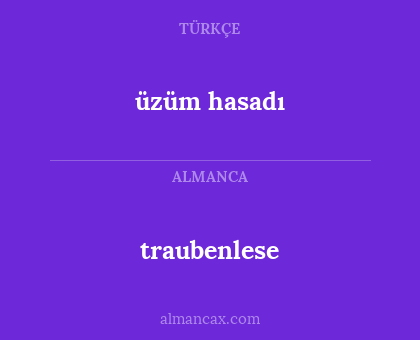 traubenlese - üzüm hasadı