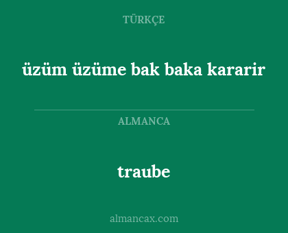 traube - üzüm üzüme bak baka kararir