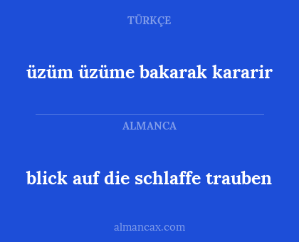 blick auf die schlaffe trauben - üzüm üzüme bakarak kararir