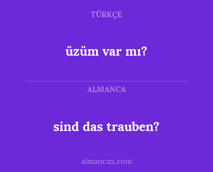 üzüm var mı? - sind das trauben?