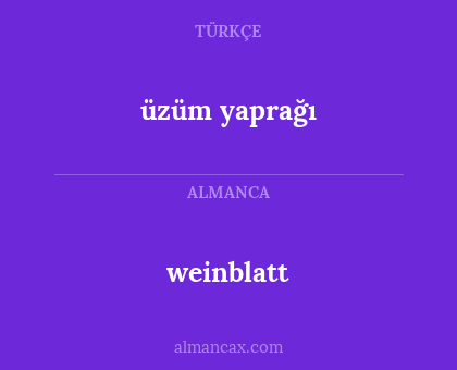 weinblatt - üzüm yaprağı