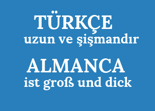 uzun+ve+%C5%9Fi%C5%9Fmand%C4%B1r-ist+gro%C3%9F+und+dick.png