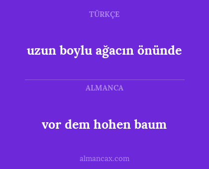 vor dem hohen baum - uzun boylu ağacın önünde