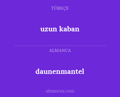 daunenmantel - uzun kaban