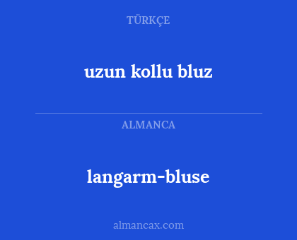 langarm-bluse - uzun kollu bluz