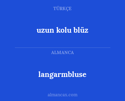 langarmbluse - uzun kolu blüz