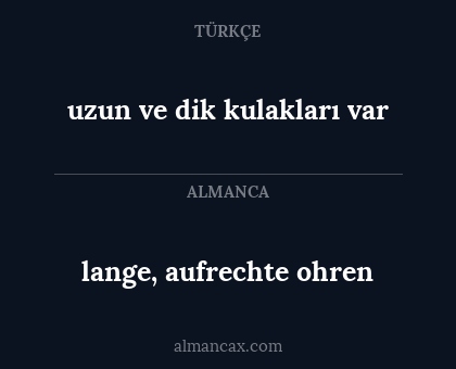 lange, aufrechte ohren - uzun ve dik kulakları var