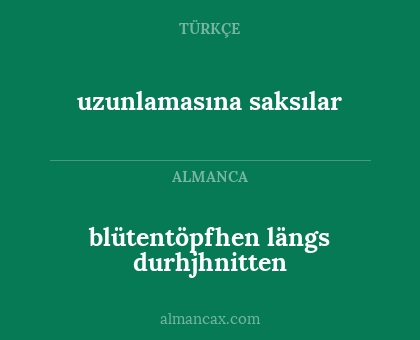uzunlamasına saksılar - blütentöpfhen längs durhjhnitten