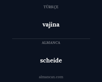 scheide - vajina