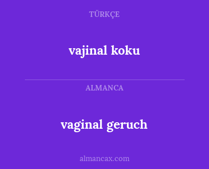 vaginal geruch - vajinal koku
