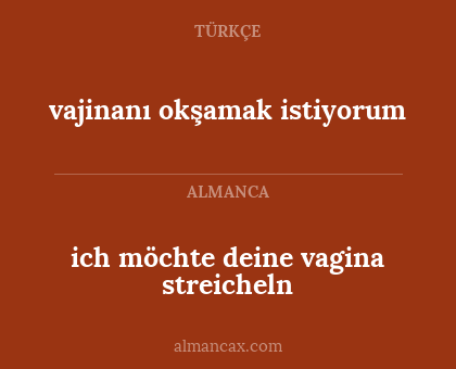 ich möchte deine vagina streicheln - vajinanı okşamak istiyorum