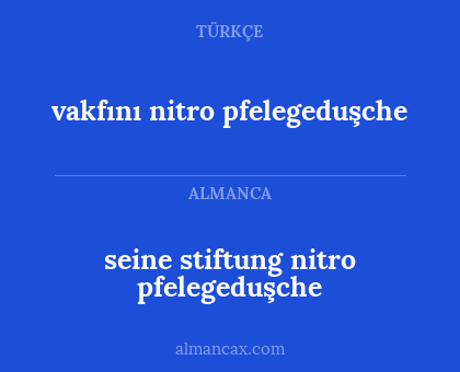 seine stiftung nitro pfelegeduşche - vakfını nitro pfelegeduşche