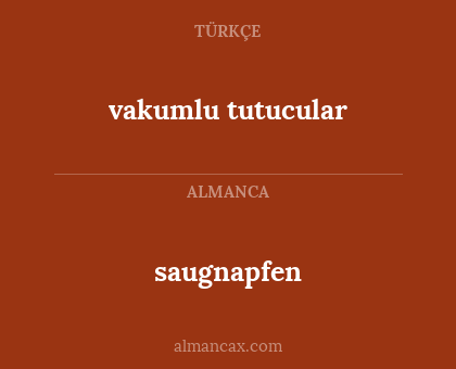 saugnapfen - vakumlu tutucular