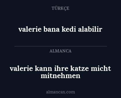 valerie kann ihre katze micht mitnehmen - valerie bana kedi alabilir