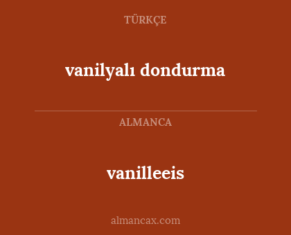 vanilleeis - vanilyalı dondurma