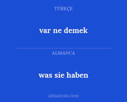 var ne demek - was sie haben