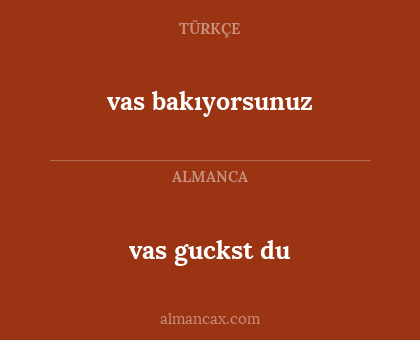 vas guckst du - vas bakıyorsunuz