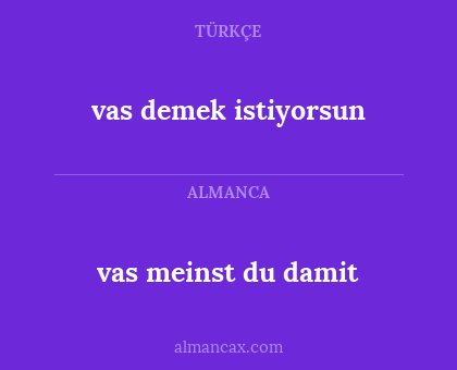 vas meinst du damit - vas demek istiyorsun