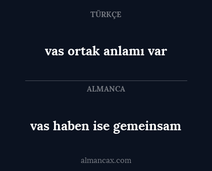 vas ortak anlamı var - vas haben ise gemeinsam