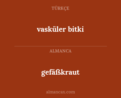 gefäßkraut - vasküler bitki