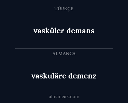 vaskuläre demenz - vasküler demans