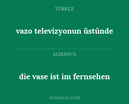 vazo televizyonun üstünde - die vase ist im fernsehen