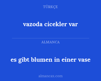 vazoda cicekler var - es gibt blumen in einer vase