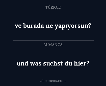 ve burada ne yapıyorsun? - und was suchst du hier?
