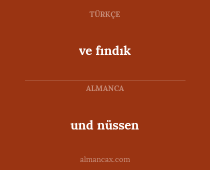 und nüssen - ve fındık