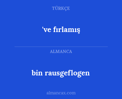bin rausgeflogen - 've fırlamış