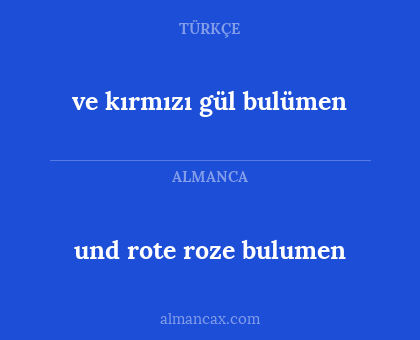 und rote roze bulumen - ve kırmızı gül bulümen