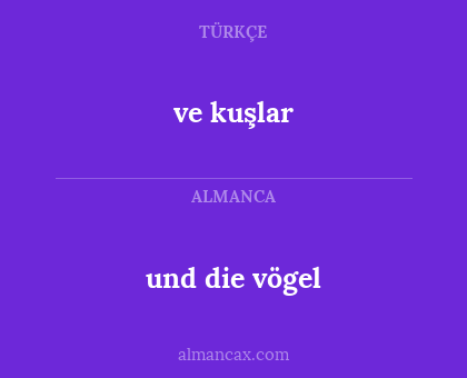 und die vögel - ve kuşlar