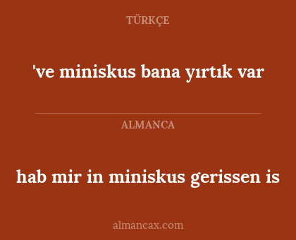 've miniskus bana yırtık var - hab mir in miniskus gerissen is