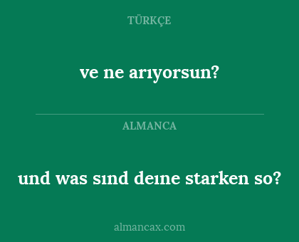 und was sınd deıne starken so? - ve ne arıyorsun?