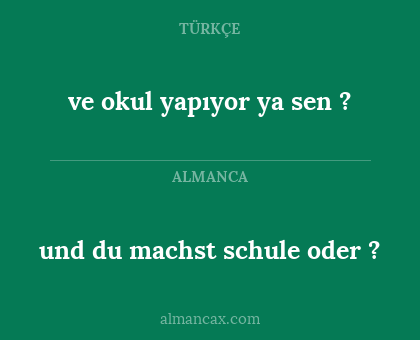 und du machst schule oder ? - ve okul yapıyor ya sen ?